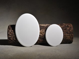 ovale Porzellanbilder vor einem Baumstamm